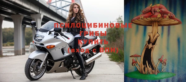 дживик Горняк