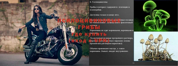 гидропоника Горно-Алтайск